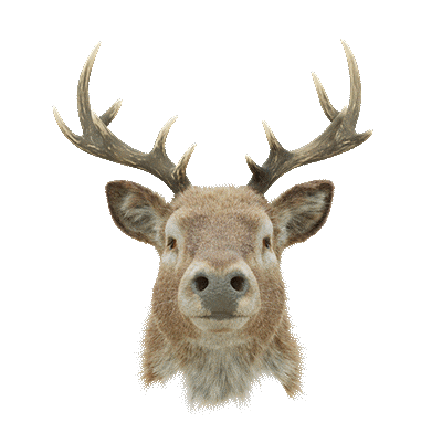 Robots Hunting Sticker by Woodblock