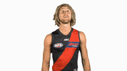 essendonfc bombers dons essendon essendon fc GIF