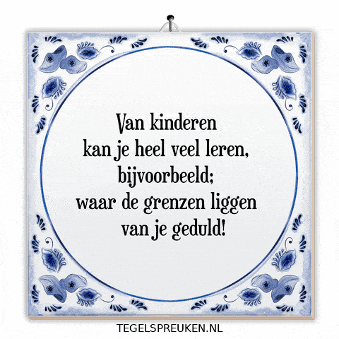 Nl Spreuk GIF by Tegelspreuken.nl