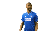 2 Bundesliga Football Sticker by Karlsruher SC