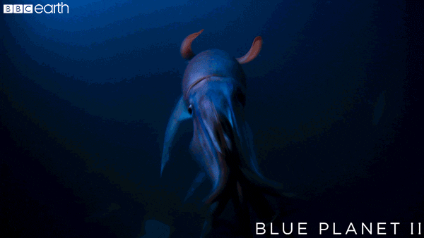 blue planet jump GIF by BBC Earth