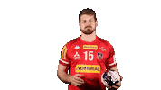 HandballAustria handball ohb handball austria fabian posch Sticker