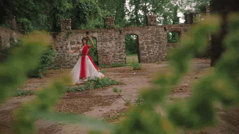 Vinihazari  GIF