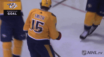 ice hockey hug GIF by NHL