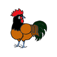 Rooster Sticker