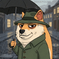 Rain Umbrella GIF by Doge Pound