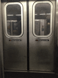 animation nyc GIF by Ryan Seslow