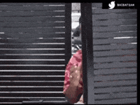 Look See GIF