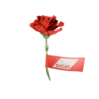 Union Dgb GIF by Deutscher Gewerkschaftsbund (DGB)