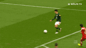 football soccer GIF by VfL Wolfsburg