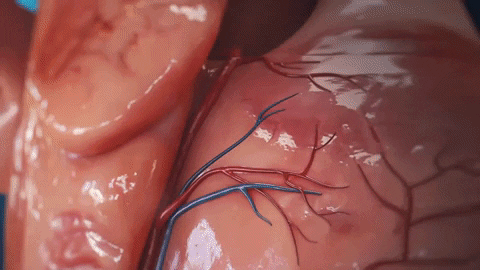 christoph-6108 giphygifmaker GIF