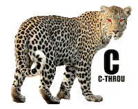 eyes leopard Sticker by CTHROU