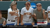 minnesota softball GIF by NCAA Championships
