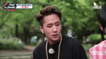 vixx GIF