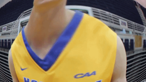 Basketball GIF by Hofstra Pride
