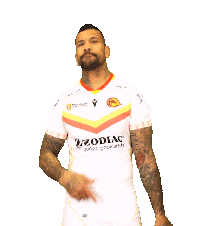 Rugby League Sticker by Dragons Catalans