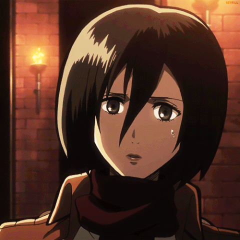 mikasa GIF