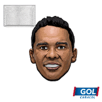 celebrate world cup Sticker by Caracol Television