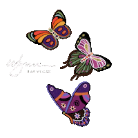 Wynnlasveas travel shopping vacation butterfly Sticker