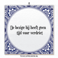 Focus Nl GIF by Tegelspreuken.nl