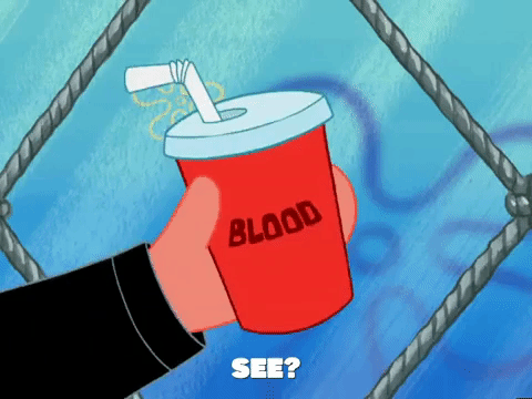 season 4 GIF by SpongeBob SquarePants
