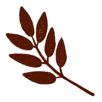 Fall Autumn Sticker by Daniela Nachtigall