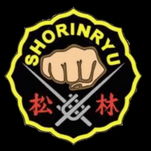 matsubayashi giphygifmaker zen karate dojo GIF