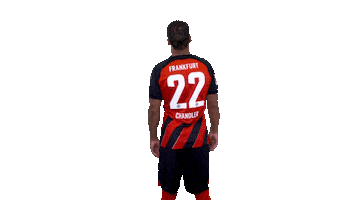 Sticker by Eintracht Frankfurt