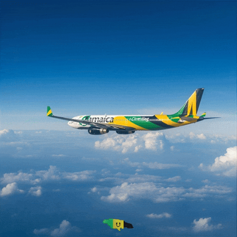 Take Off Fly GIF by Nova Sound