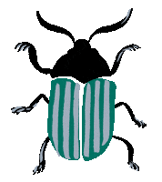 Halloween Spider Sticker by Meri Meri
