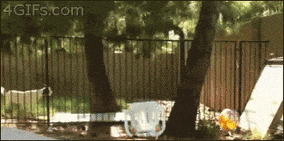 GIF by Random Goat