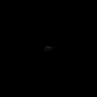Money Tech GIF by Dash Digital Cash