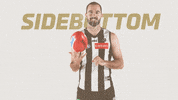 magpies gopies GIF by CollingwoodFC