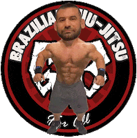 Jiujitsu G13Bjj Sticker by G13 BJJ Oficial