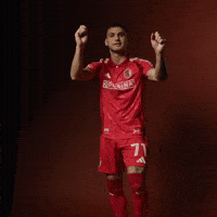Stlcitysc GIF by St. Louis CITY SC