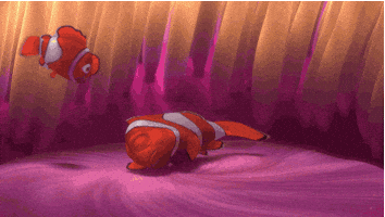 finding nemo morning GIF by Disney Pixar