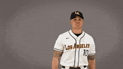 Cal State La Baseball GIF by Cal State LA Golden Eagles