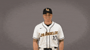 Cal State La Baseball GIF by Cal State LA Golden Eagles