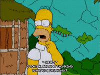 homer simpson GIF