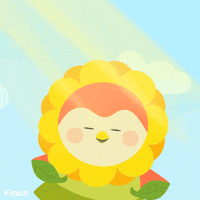 Summer Sun GIF by Finch Care