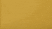 Cal State La Ncaa GIF by Cal State LA Golden Eagles