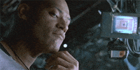 GIF by Giphy QA