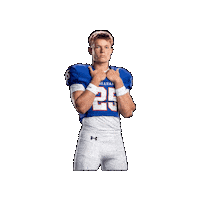 Colttaylor Sticker by Ahart Real Estate