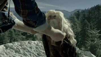 bird wig GIF