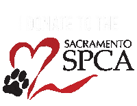 Sacspca Sticker by Sacramento SPCA