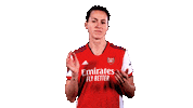 Celebrate Come On Sticker by Arsenal