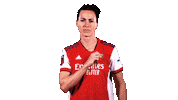 Celebrate Come On Sticker by Arsenal