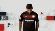 bayer leverkusen wtf GIF by Bundesliga
