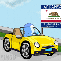 Travel Driving GIF by Pudgy Penguins