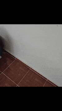 Tv Izleyen Adamlar GIF